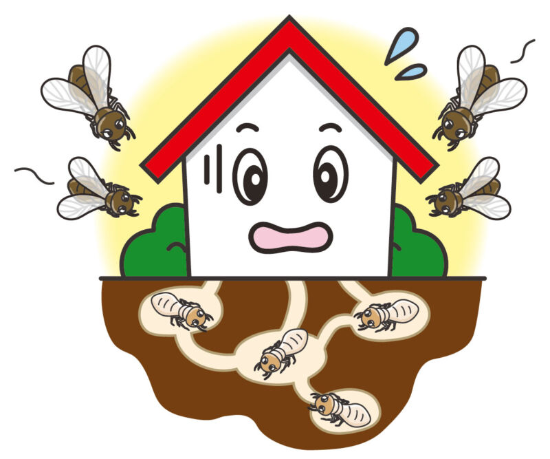 シロアリによる住宅への影響